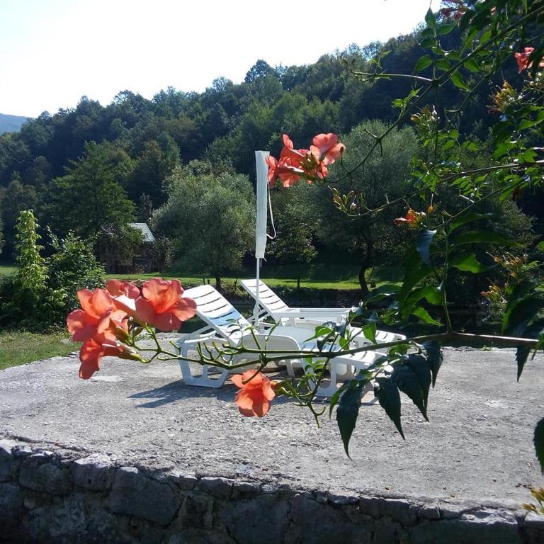Zahrada ubytování Saraj Guest House