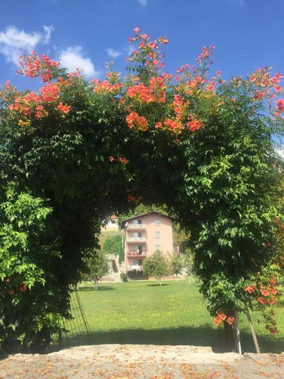 Zahrada ubytování Saraj Guest House