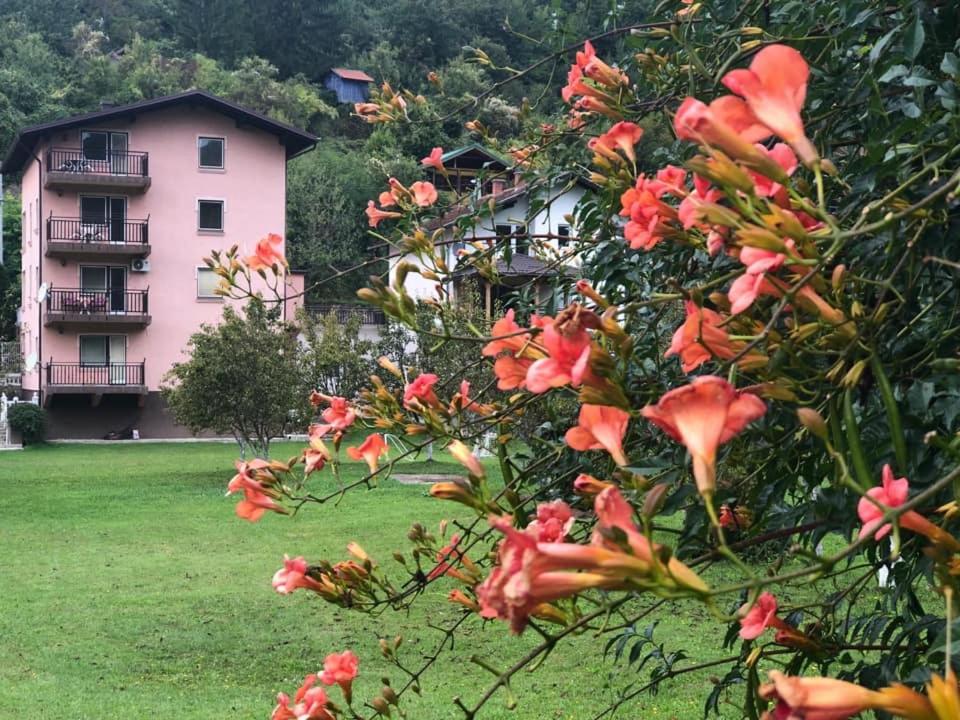 Zahrada ubytování Saraj Guest House