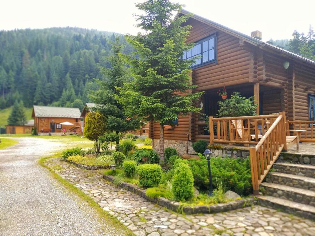 Příroda nedaleko hotelu