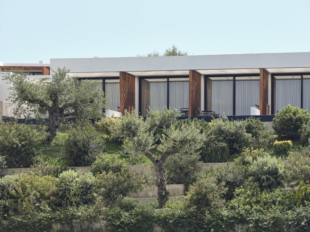 Zahrada ubytování Zante Maris Suites - Adults Only