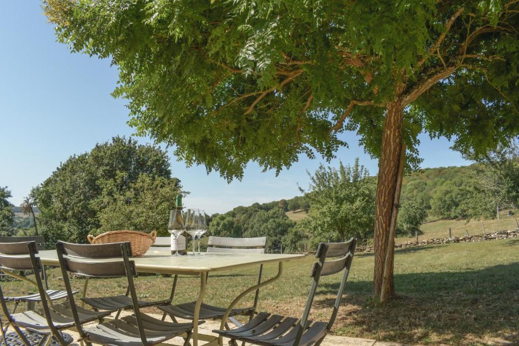 einen Tisch und Stühle unter einem Baum auf einem Feld in der Unterkunft Maison de Blanche in Chaudenay-le-Château