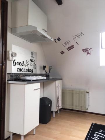 cocina con fregadero y encimera en una habitación en Studio, en Pontacq