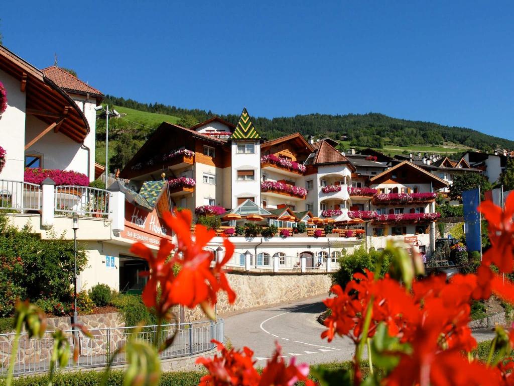 um grupo de edifícios com flores vermelhas no primeiro plano em Aktiv & Relax Hotel Hubertus em Villandro