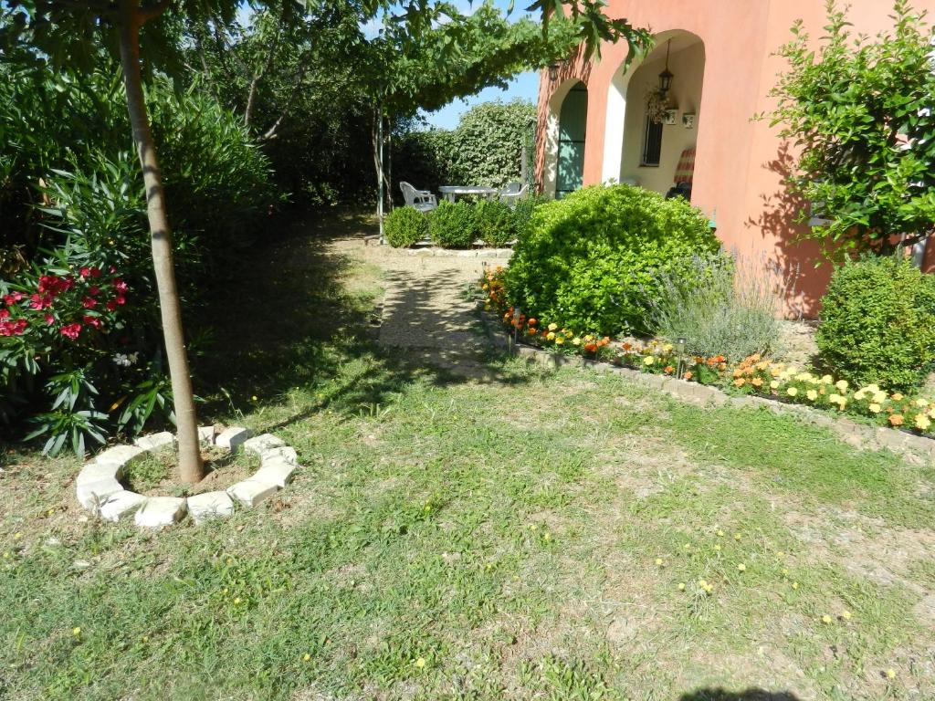 a garden with a tree and some bushes and a house at L&#39;Oliveraie in Draguignan