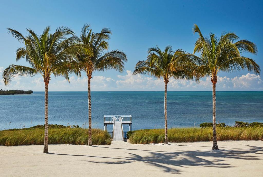 einen Strand mit Palmen und das Meer mit einem Pier in der Unterkunft Isla Bella Beach Resort & Spa - Florida Keys in Marathon