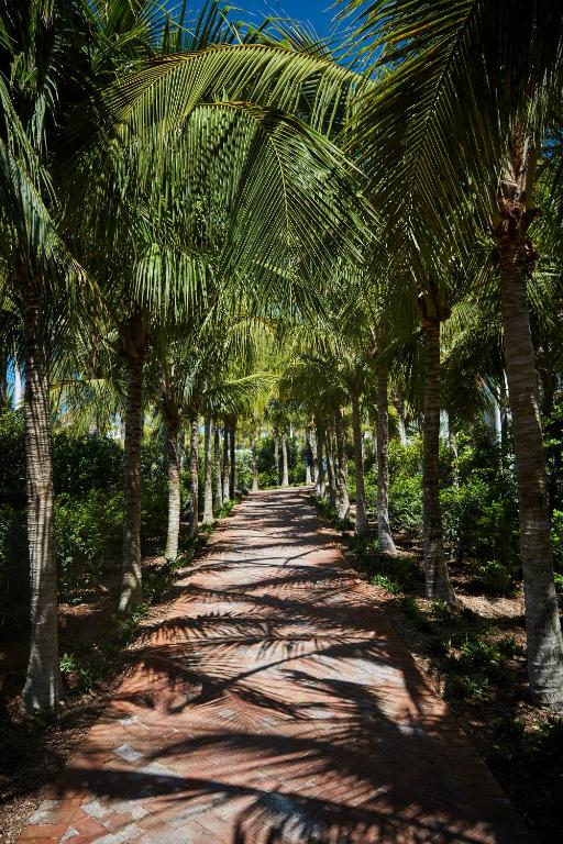 a dirt road lined with palm trees on a beach at Isla Bella Beach Resort & Spa - Florida Keys in Marathon
