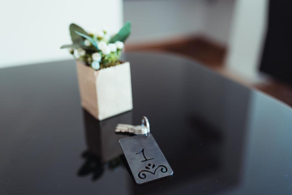 Gradelle San Nicola - 5