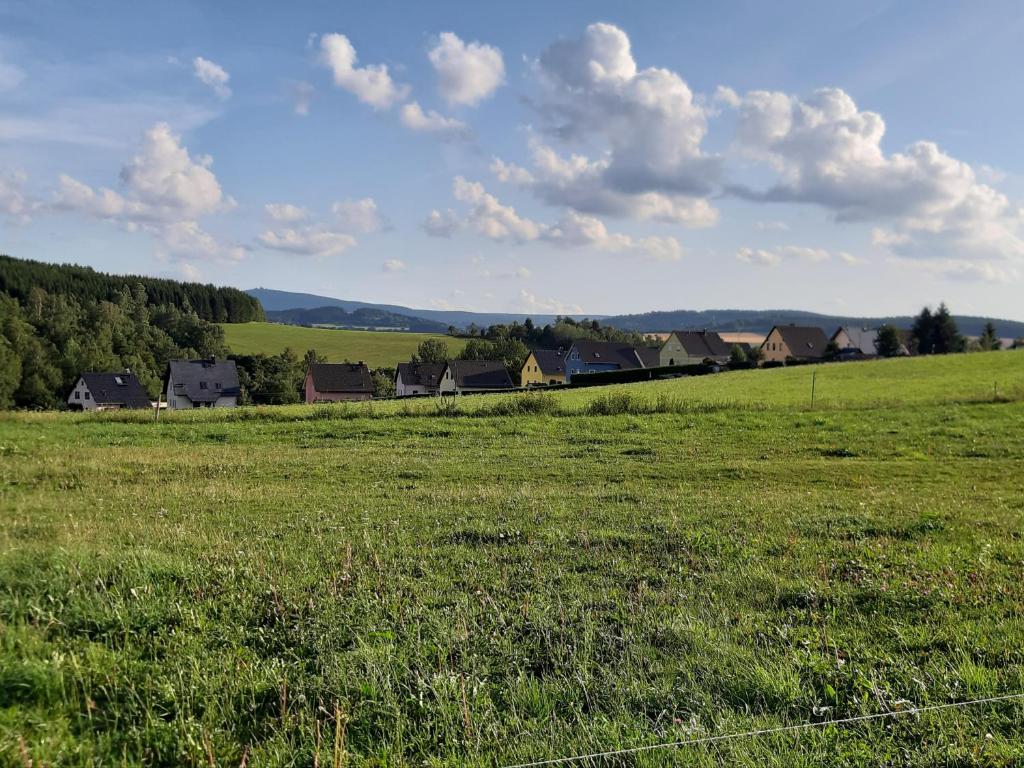 a field of green grass with houses in the distance at Mandy´s Ferienwohnung in Sehmatal