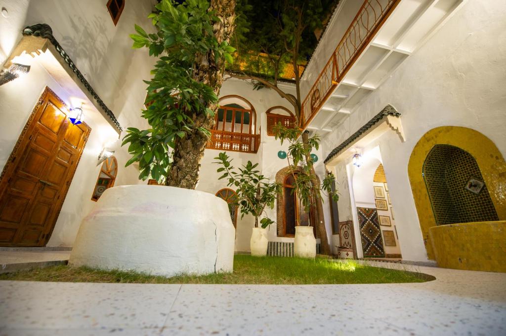 une maison avec un arbre au milieu d'une pièce dans l'établissement Riad O LY, à Marrakech