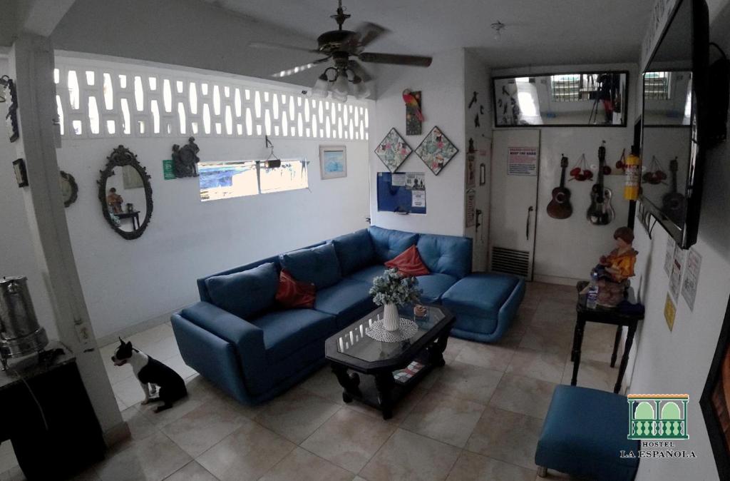 una sala de estar con un sofá azul y un gato. en Hostal La Española de Getsemani, en Cartagena de Indias