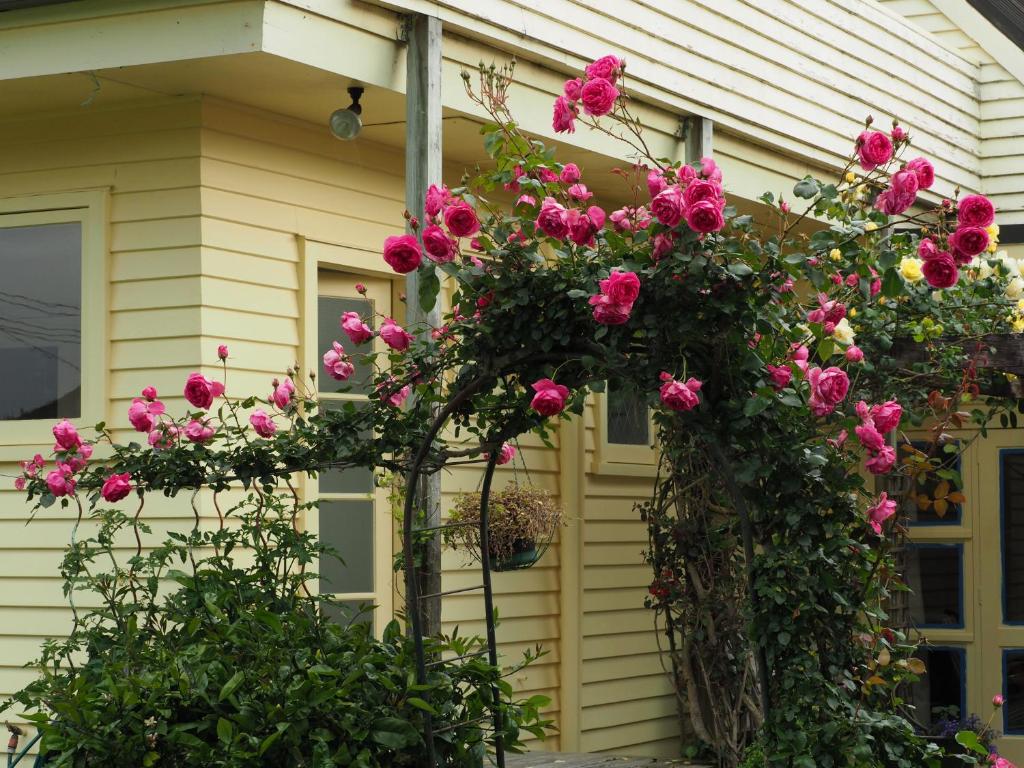 59 Chaucer Apartment - Resim 11