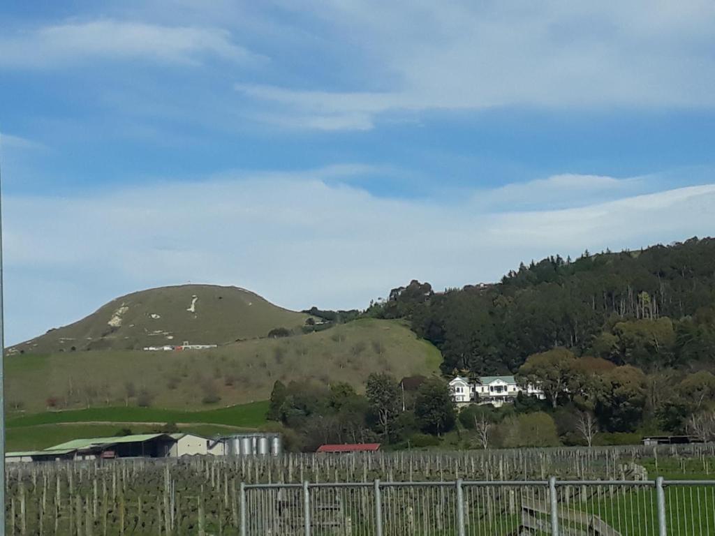 Hidden Gem in Oaklands - Resim 17