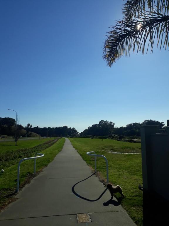 Hidden Gem in Oaklands - Resim 21