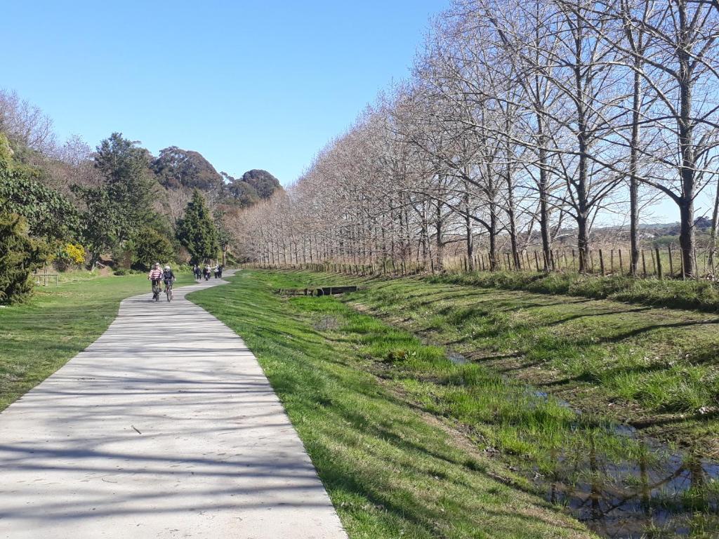 Hidden Gem in Oaklands - Resim 24