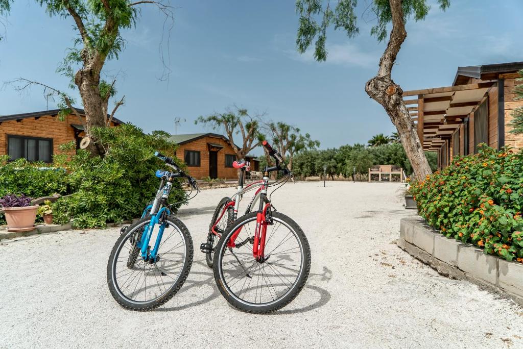 Jízda na kole v ubytování La Vignazza B&B nebo okolí