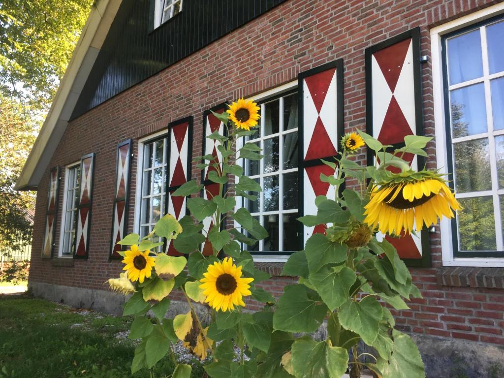 un grupo de girasoles frente a un edificio de ladrillo en Erve Het Roolvink Boerderij Appartementen 40-50 M2 en Enschede