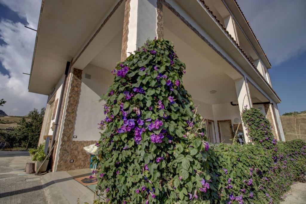 Vonkajšia záhrada v ubytovaní Casa Vacanza Villa Anna
