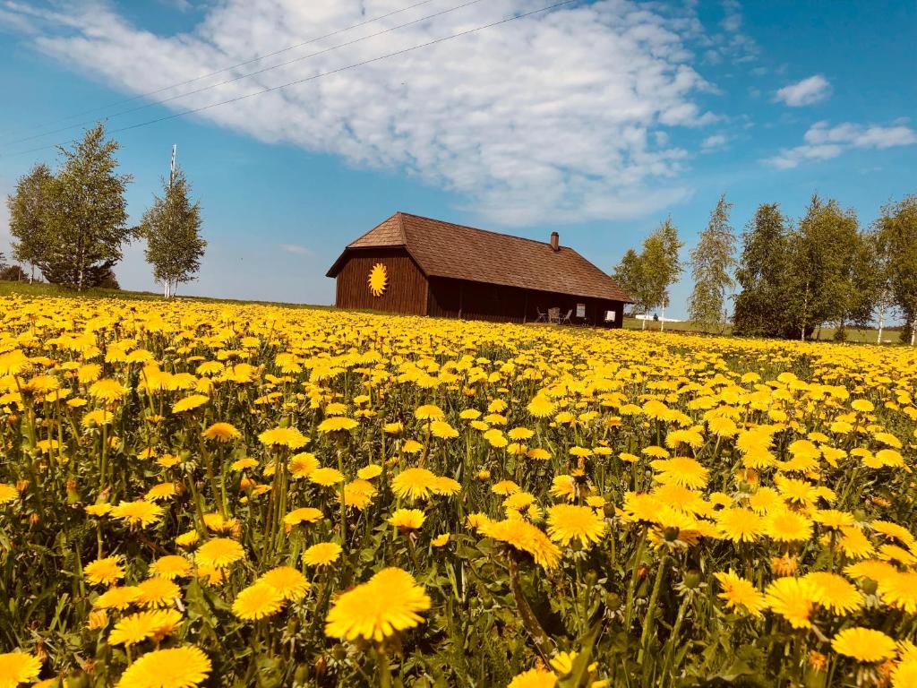 Fotografie z fotogalerie ubytování Voose Päikesekodu seminari- ja puhkekeskus v destinaci Vose