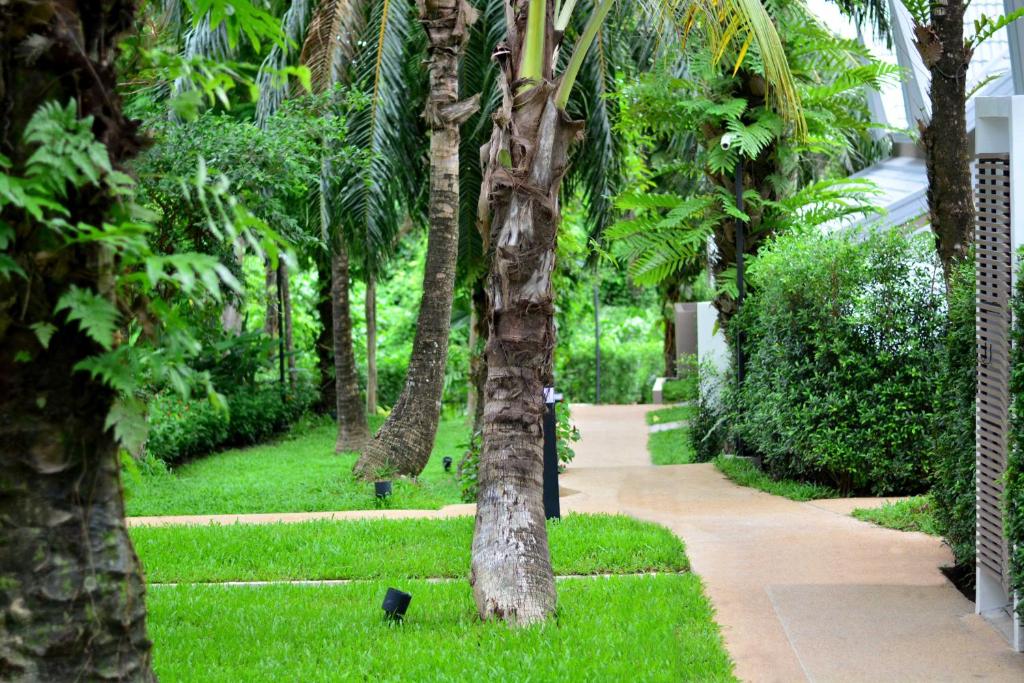 a palm tree in the middle of a sidewalk at Deevana Krabi Resort in Ao Nang Beach