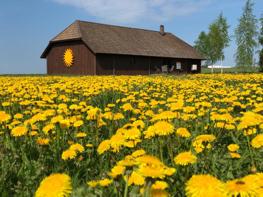Fotografie z fotogalerie ubytování Voose Päikesekodu seminari- ja puhkekeskus v destinaci Vose