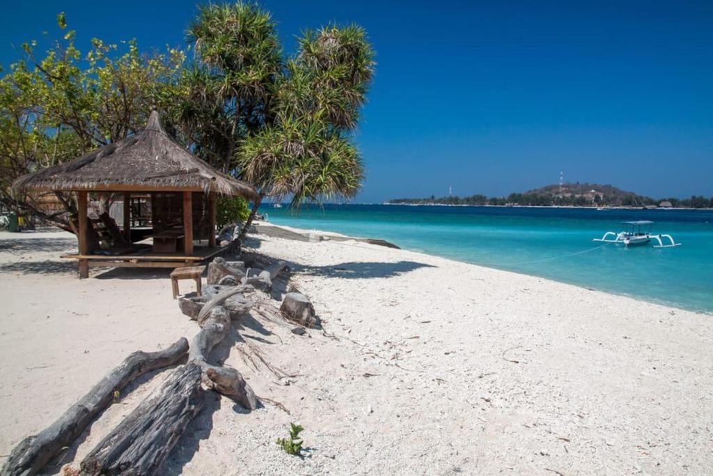 a beach with a hut and the water at Serenity Luxurious Beachfront Villa & Spa with private Infinity Pool, 8 Guests in Gili Air