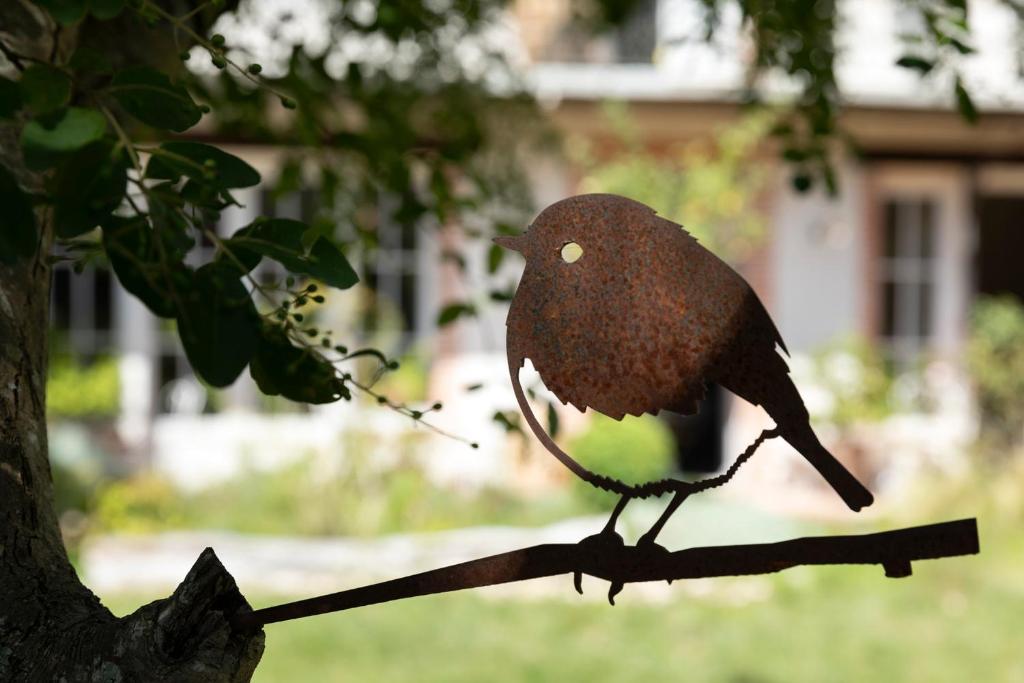un uccello arroccato su un ramo di un albero di Numero22 Chambres d'hôtes a Montauban