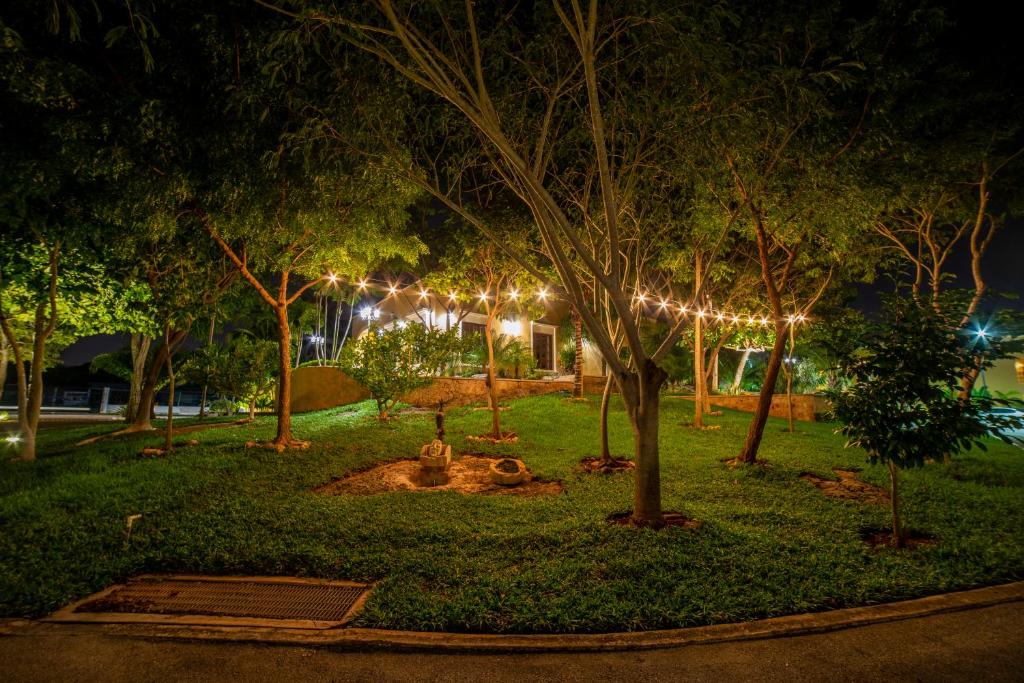 Jardí fora de TecnoHotel Valladolid