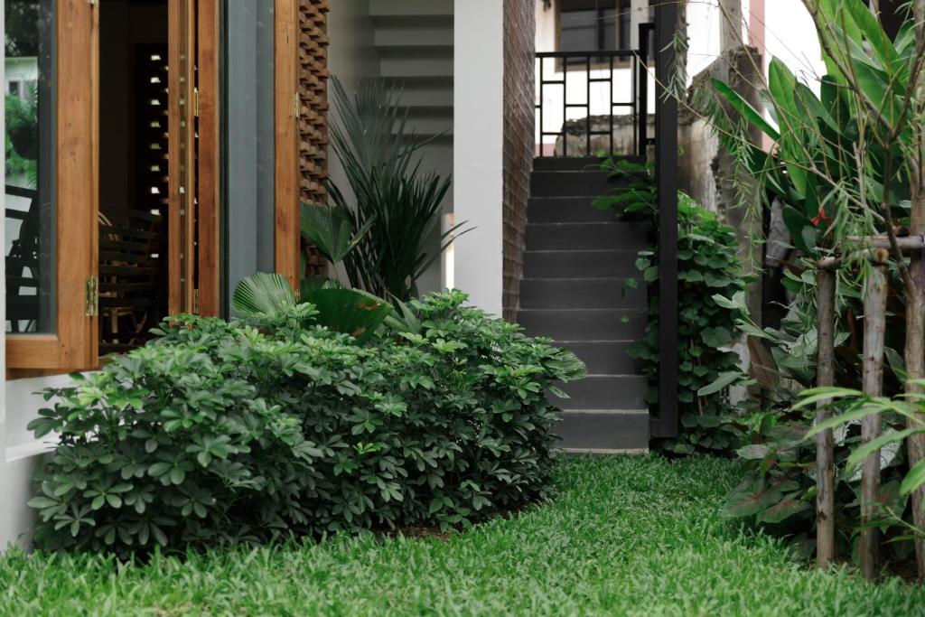 The Locals Chiang Mai - Resim 14