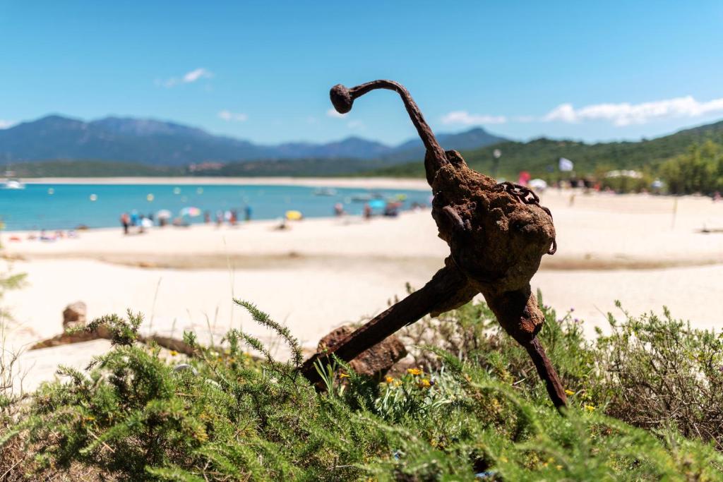 a sculpture of a bird on a beach at Résidence & Hotel U Livanti ECOLABEL in Propriano