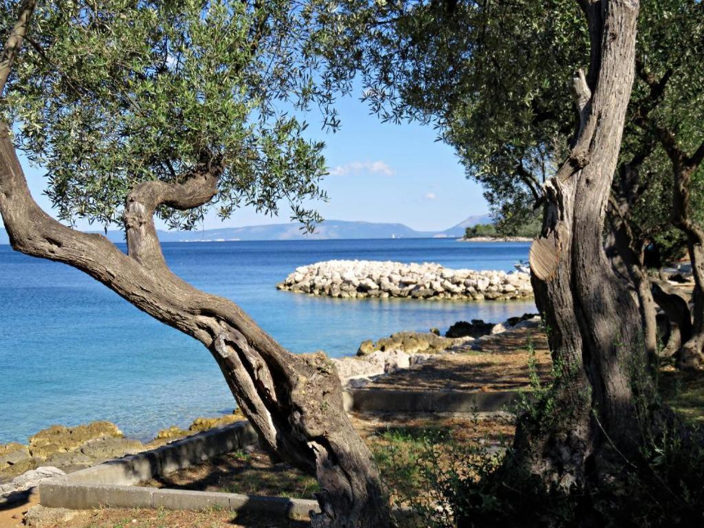 a tree next to a body of water at Apartman in Cres