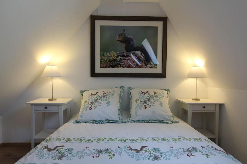 Chambre chez l'habitant - L Écureuil - Cœur de Riquewihr - 2 personnes – photo 14