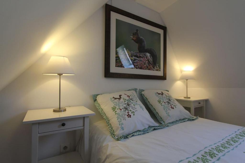 Chambre chez l'habitant - L Écureuil - Cœur de Riquewihr - 2 personnes – photo 15