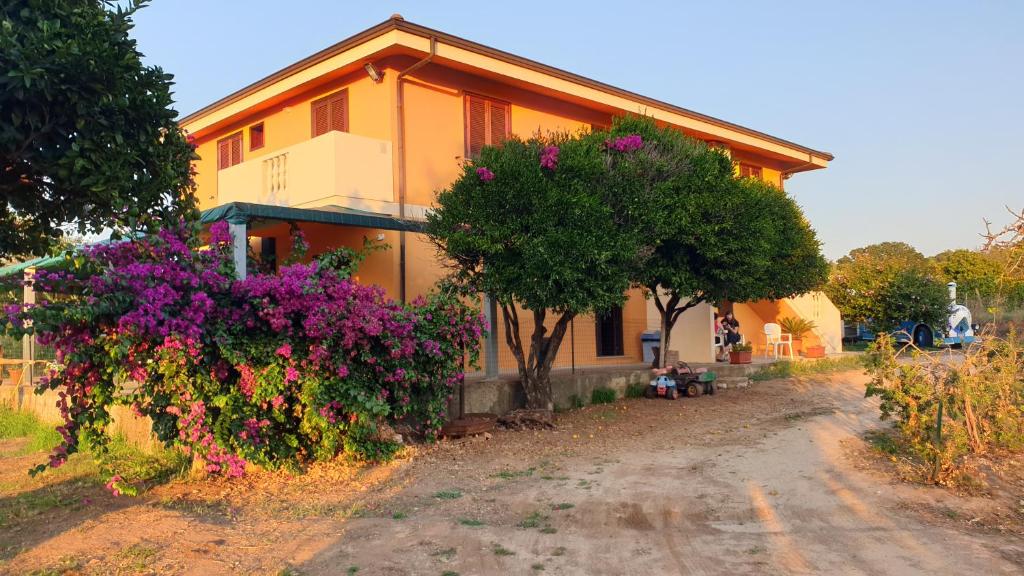 Appartamenti in affitto in Calabria Case vacanza in Calabria Villino AnnaMaria