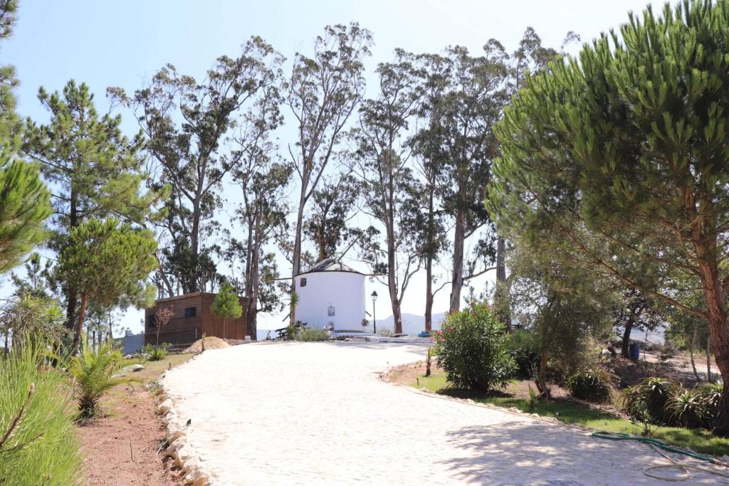 een weg met een wit gebouw midden tussen de bomen bij Moinho da Amélia in Cadaval