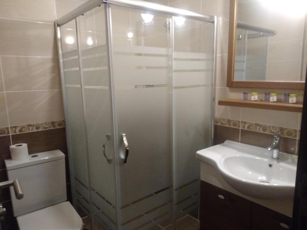 a bathroom with a shower and a toilet and a sink at Ribad Hotel in Istanbul