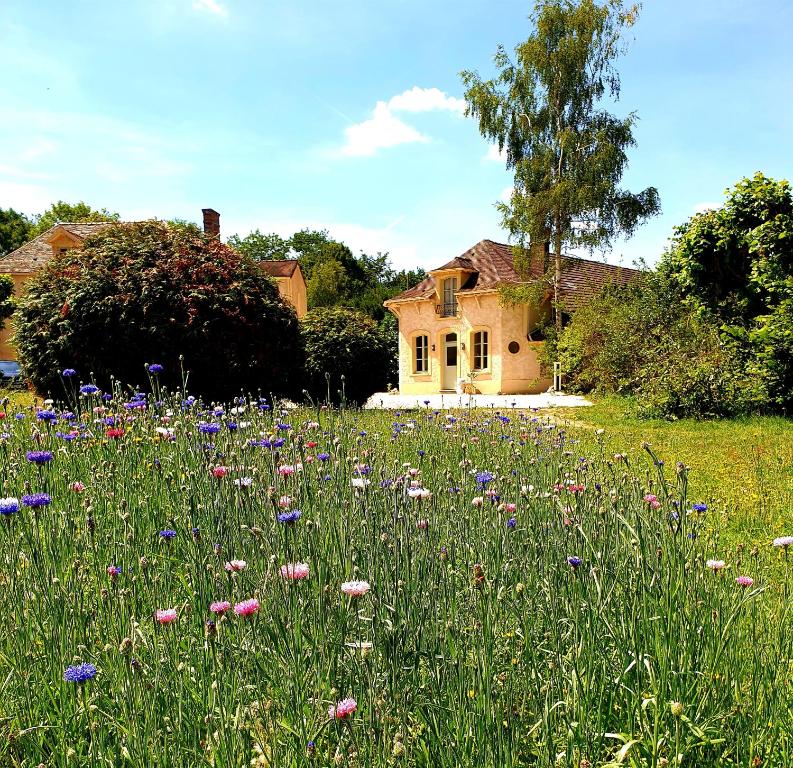 a field of flowers in front of a house at Domaine les Bruyères in Gambais