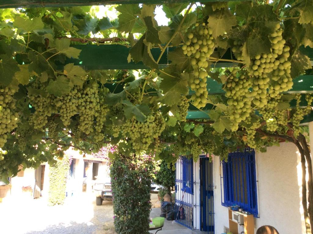 Fotografie z fotogalerie ubytování La Casa de las Higueras Dar Karmus Tetouan v destinaci Tetuán