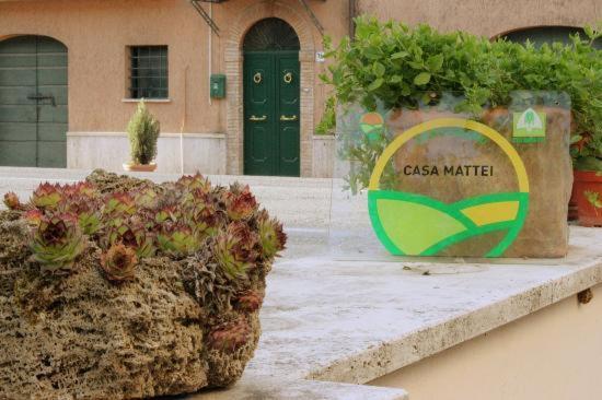 uma planta em um vaso sentado ao lado de um edifício em Agriturismo Casa Mattei em Arrone