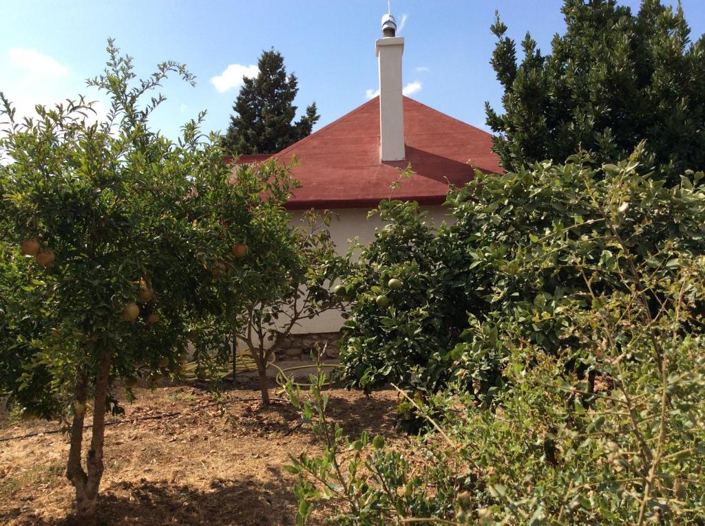 Zahrada ubytování La Casa de las Higueras Dar Karmus Tetouan
