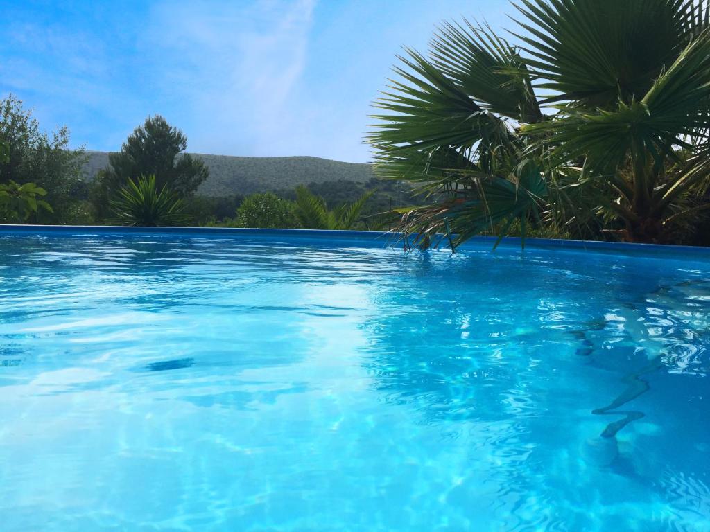 a swimming pool with blue water and palm trees at Finca Almendra in Cala Mesquida