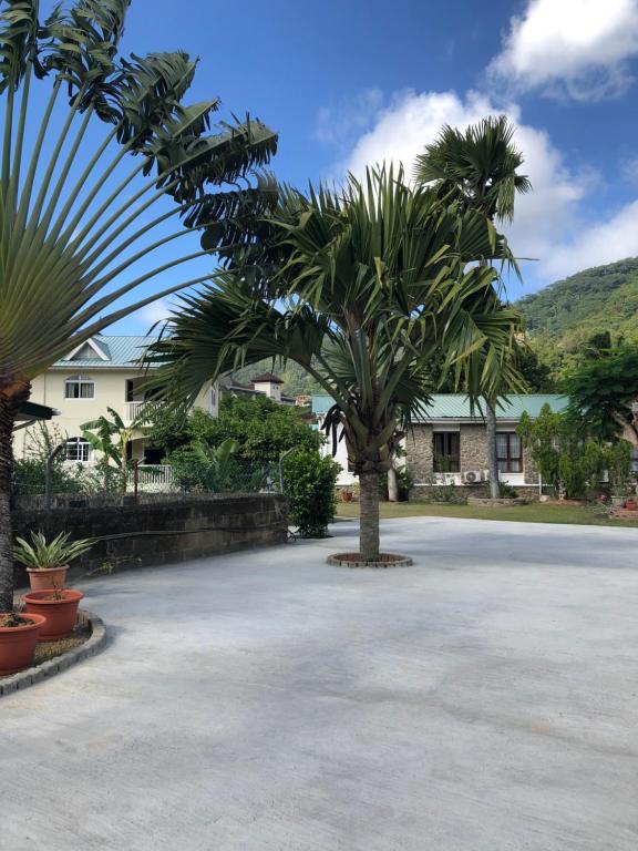 a palm tree in the middle of a parking lot at Flower Garden Self-Catering Apartments in Beau Vallon