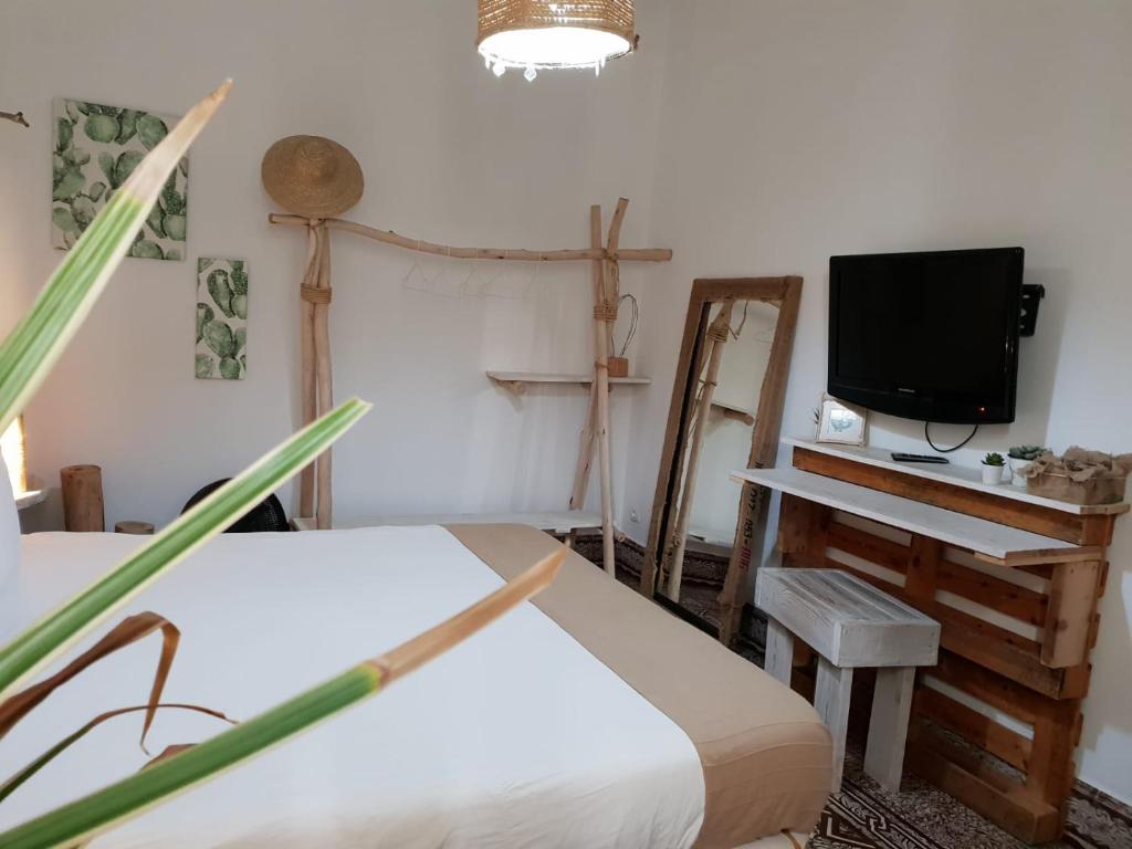 Cactus Host - Suite