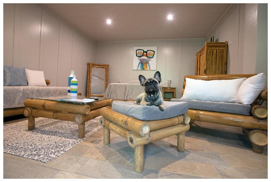 Posezení v ubytování Hotel Plaza Yara