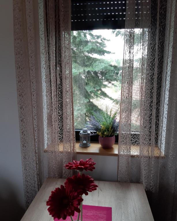 Fotografie z fotogalerie ubytování Apartman Nana Svetogorska 19 ,stan 17 v destinaci Zlatibor