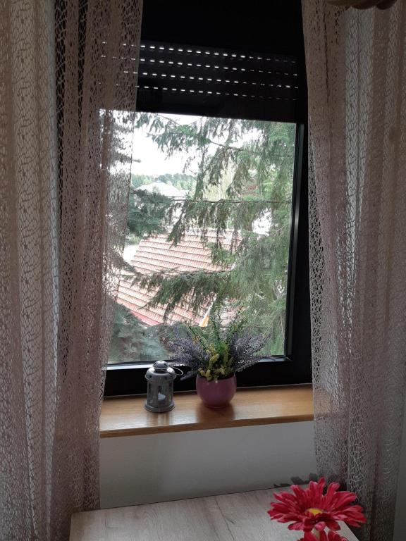 Fotografie z fotogalerie ubytování Apartman Nana Svetogorska 19 ,stan 17 v destinaci Zlatibor