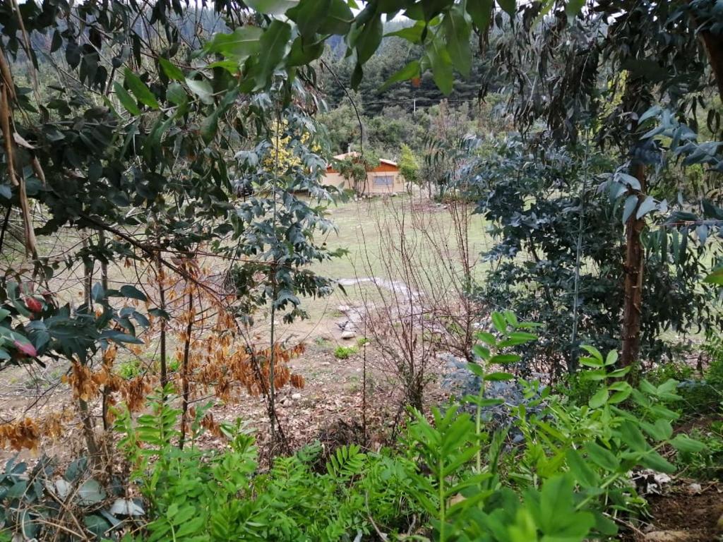Zahrada ubytování El Fogon de Rio Claro