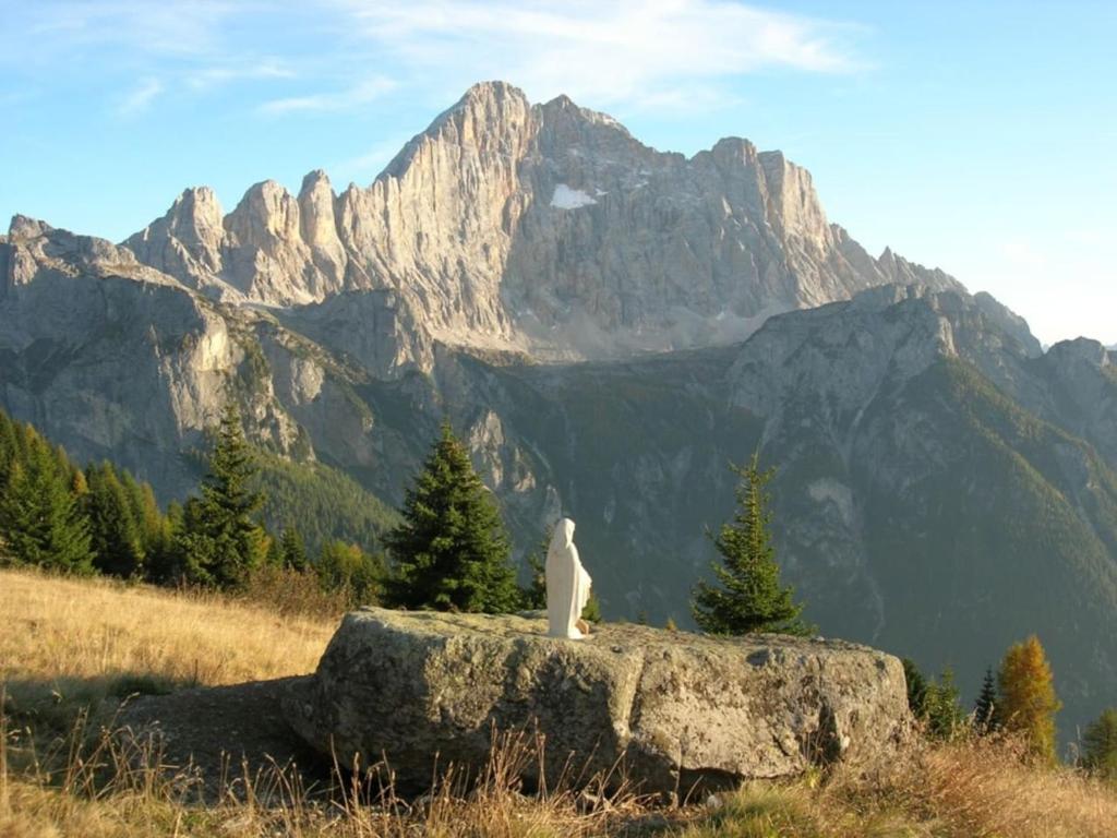 Příroda nedaleko apartmánu