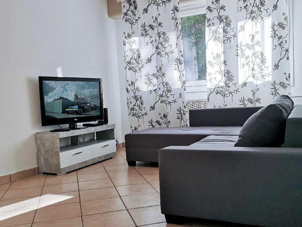 un soggiorno con divano e TV a schermo piatto di Luxury Central Apartment a Saint-Louis