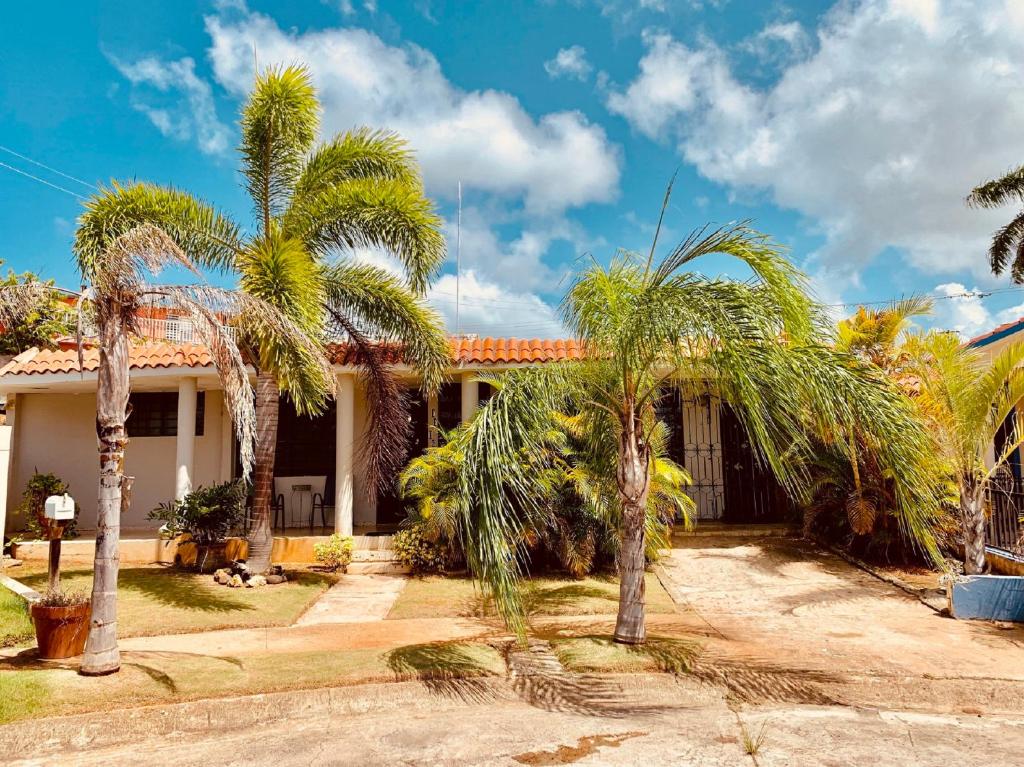 a house with palm trees in front of it at Atenas City Inn in Manati